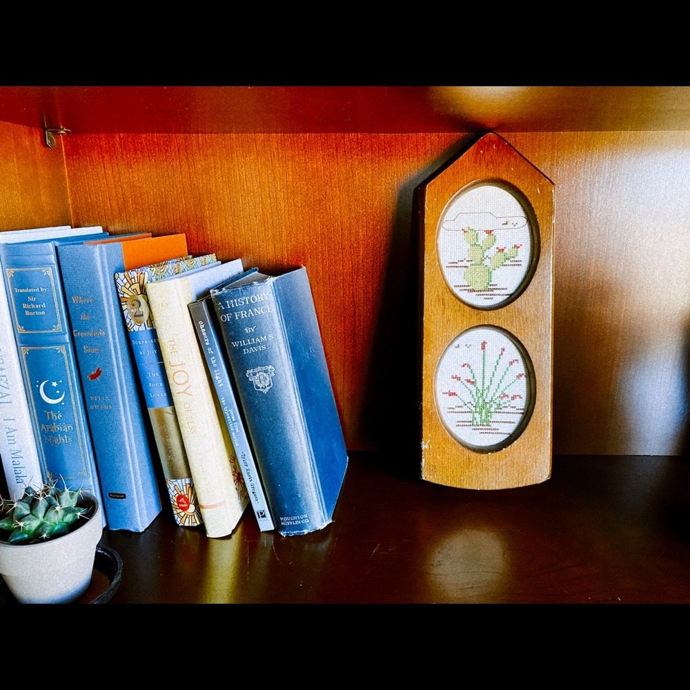 🌵Handmade Framed Cactus Cross-Stitch🌵